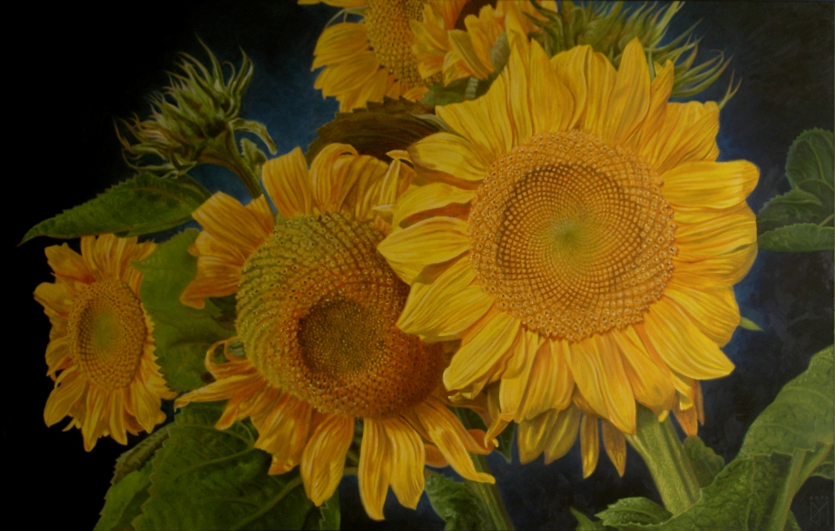 Zonnebloemen